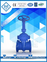 ETM DIN F7 GATE VALVE