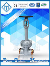 ANSI Bellows Sealed Gate Valve