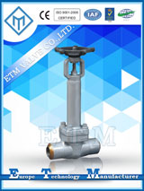 ANSI Bellows Sealed Gate Valve