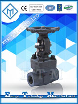 ANSI Bellows Sealed Globe Valve