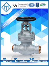 ANSI Bellows Sealed Globe Valve