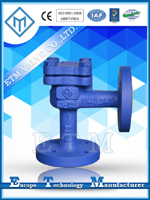 DIN Angle Pattern Lift Check Valve